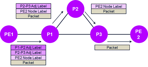  With segment routing, the route can be pre-planned via SDN and programmed into the packet at the source