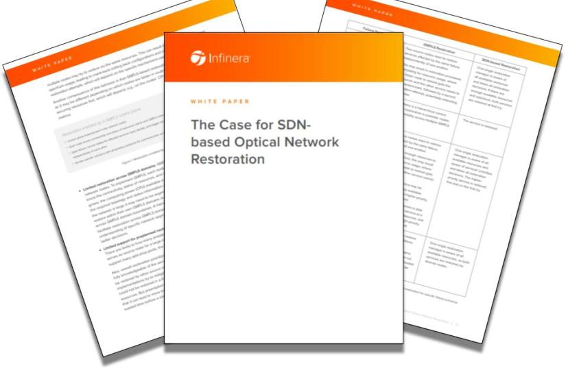 Infinera White Paper SDN