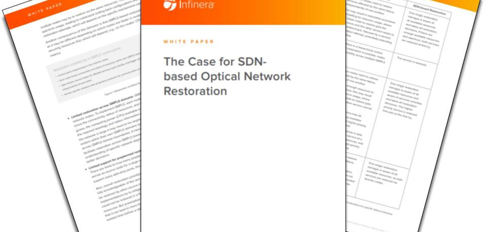 Infinera White Paper SDN