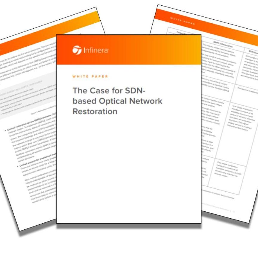 Infinera White Paper SDN